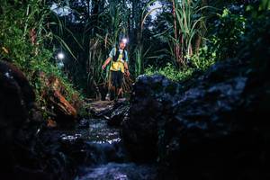 BIB: 
                            <button type="button" onclick="openModal(26206337)" class="btn btn-primary btn-sm float-right btn-popup" data-toggle="modal" data-target=".modal-high-quality">
                        <i class="fas fa-shopping-cart"></i> Add to Cart
                    </button>
                                            <button type="button" onclick="isThisMe(26206337, true)" class="btn btn-success btn-sm float-right btn-popup btn-isme hidden" data-toggle="tooltip" data-placement="bottom" title="นี่คือรูปของคุณใช่ไหม คลิกที่นี่เพื่อเอาเข้าอัลบั้ม">
                        <i class="fas fa-plus"></i> Add to album
                    </button>
                    <button type="button" onclick="isThisMe(26206337, false)" class="btn btn-warning btn-sm float-right btn-popup btn-isnotme hidden">
                        <i class="fas fa-ban"></i> Remove from album
                    </button>